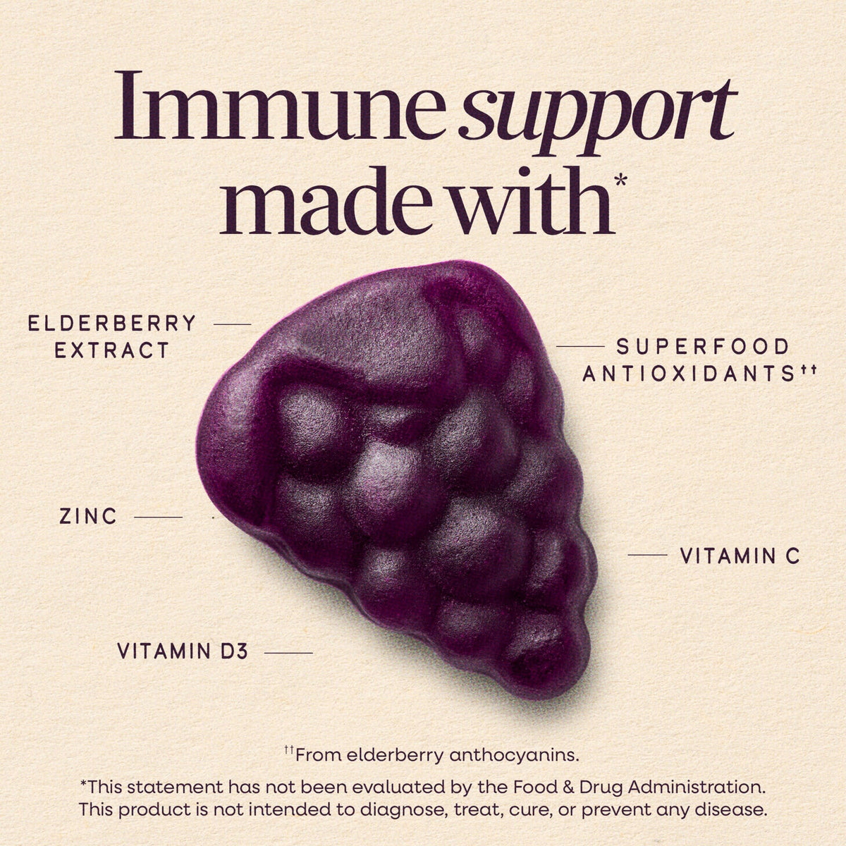 Nature’s Way Sambucus Elderberry Gummies – Daily Immune Support for the Whole Family